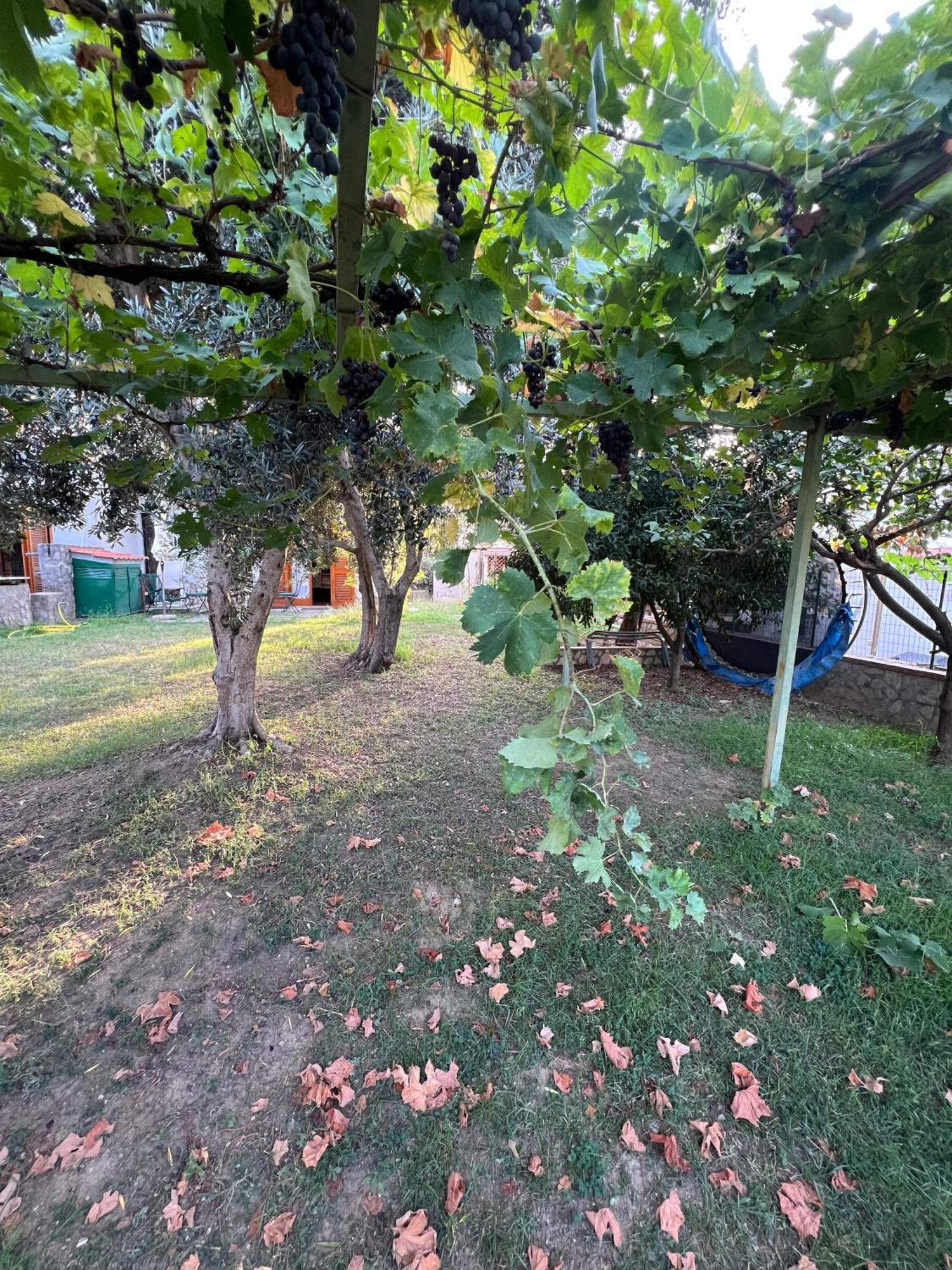 Le Gemelle Appartement Vico Equense Buitenkant foto